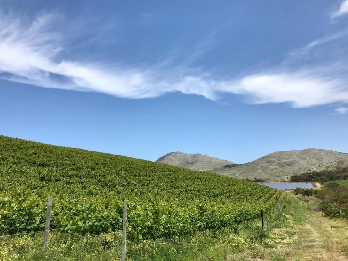 Kleine Vrede Farm Cottage 赫曼努斯 外观 照片