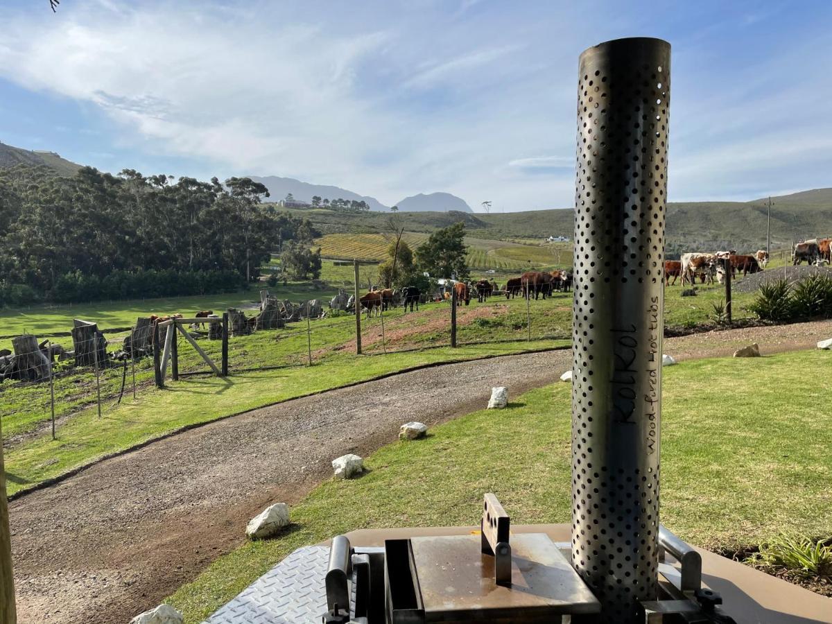 Kleine Vrede Farm Cottage 赫曼努斯 外观 照片