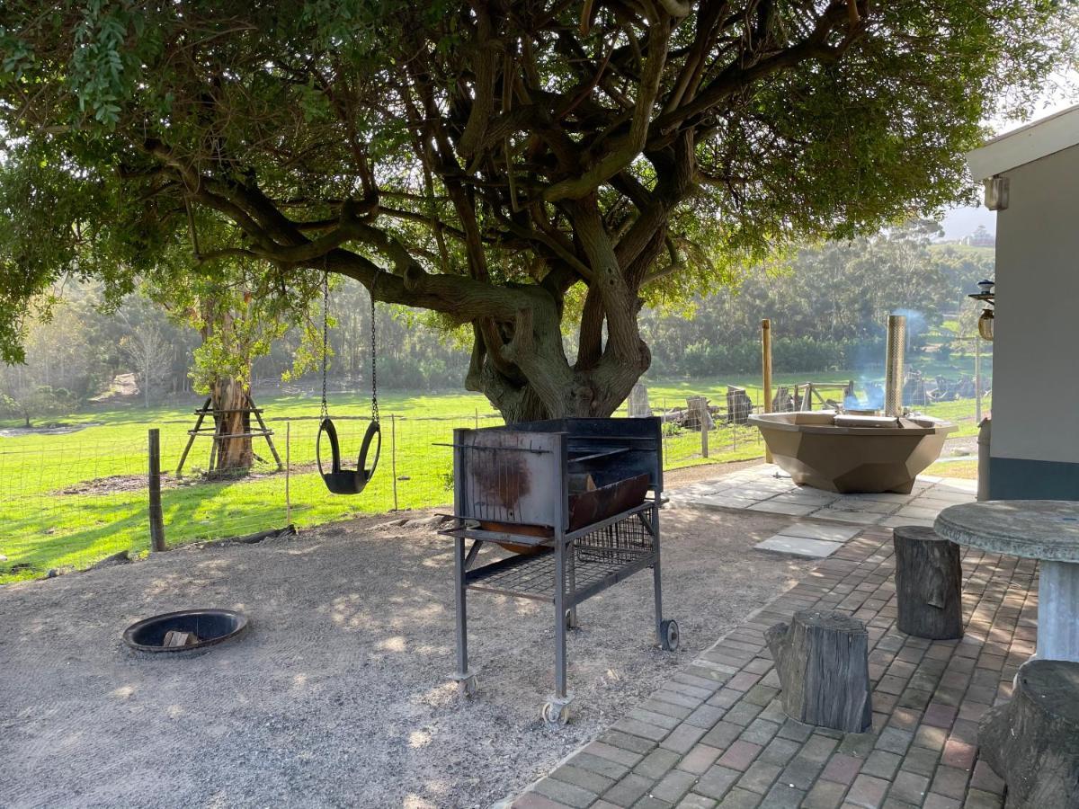 Kleine Vrede Farm Cottage 赫曼努斯 外观 照片