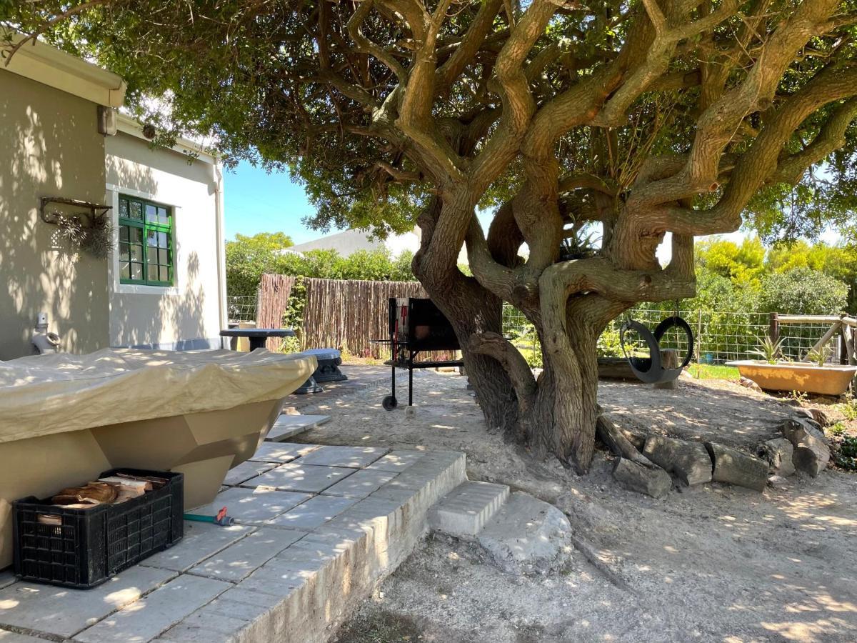 Kleine Vrede Farm Cottage 赫曼努斯 外观 照片